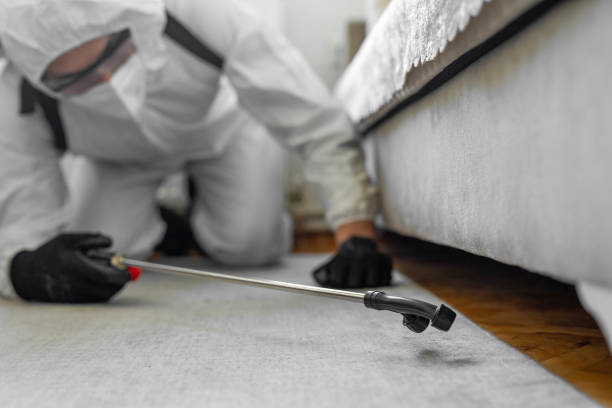 Professional Cockroach Control technician working in Angels, CA
