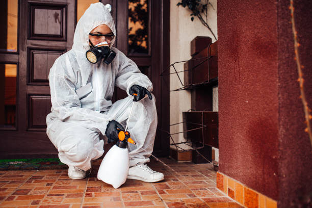 Reliable Cockroach Control contractor in Angels, CA by Nex Pest Control